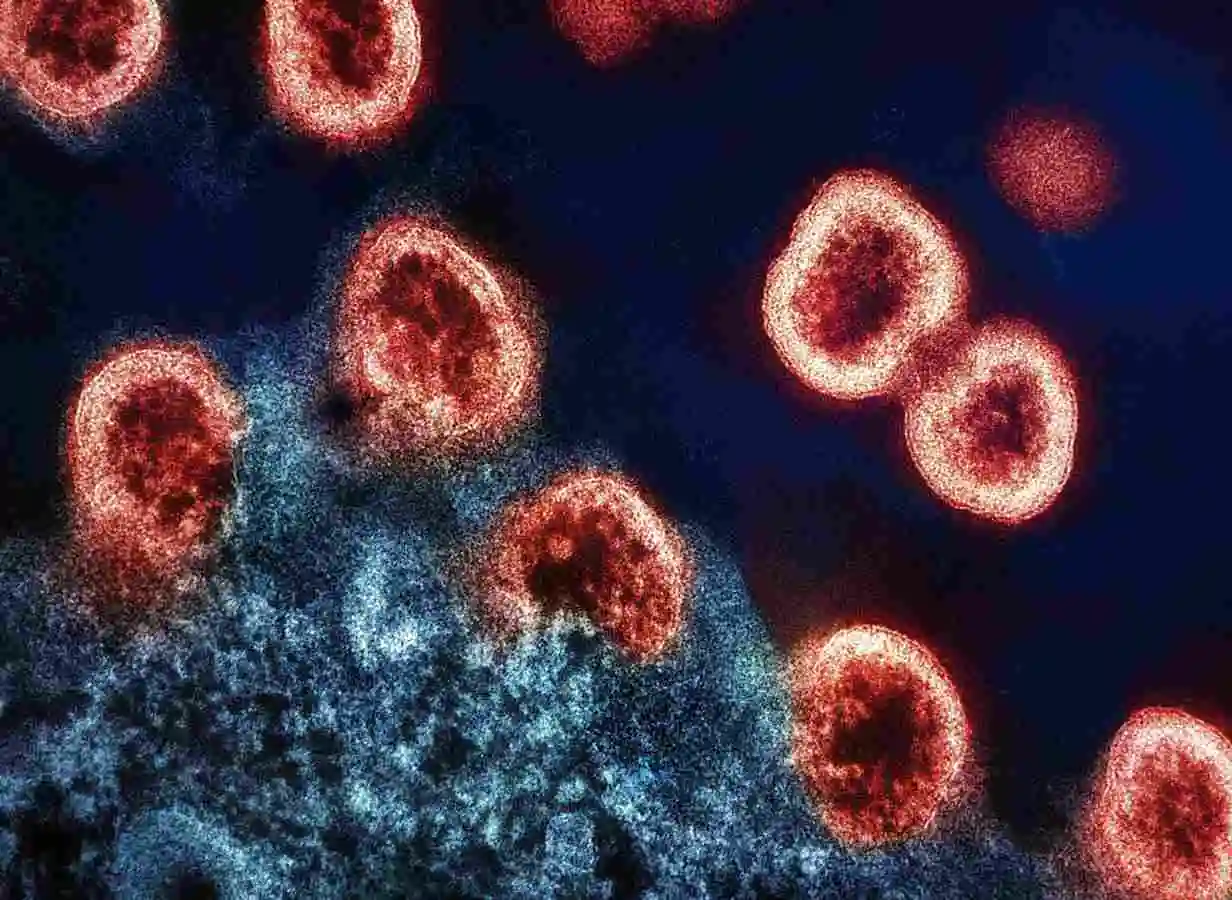 CAR-T 給生技產業的一堂課：科學突破不直接等於商業成功